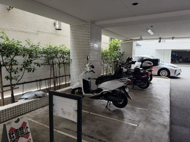 カサベラ岡本のその他