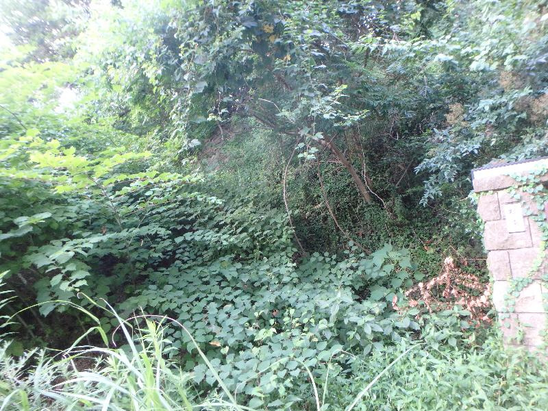 西宮市苦楽園四番町　土地のその他|建築条件無し