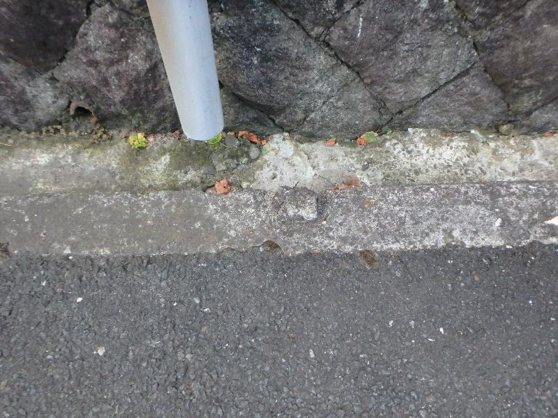 西宮市苦楽園四番町　土地のその他|前面道路