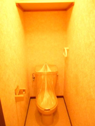 堂中ハイツ　のトイレ|シンプルで使いやすいトイレです