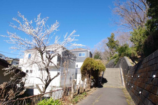 【外観】 | 聖ヶ丘3丁目公園に隣接しており、とても陽あたりが良いです。写真に写っている道路は公園内の通路です。