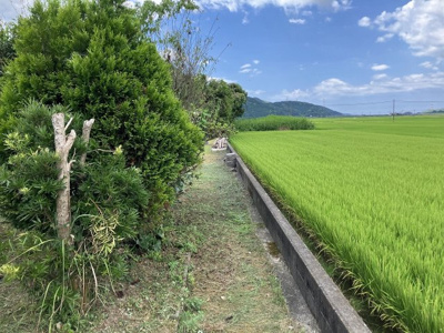 【外観】 | 高江町字内白石 土地