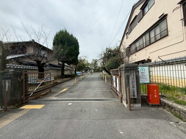 ヴィーヴル向日の周辺