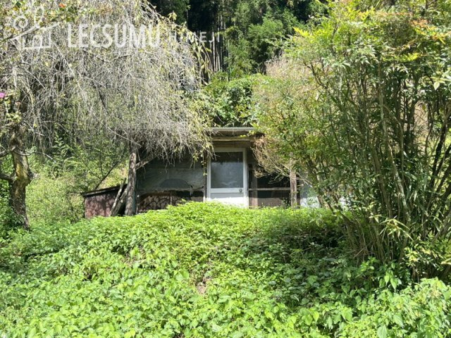 姫路市安富町三森/中古戸建の庭