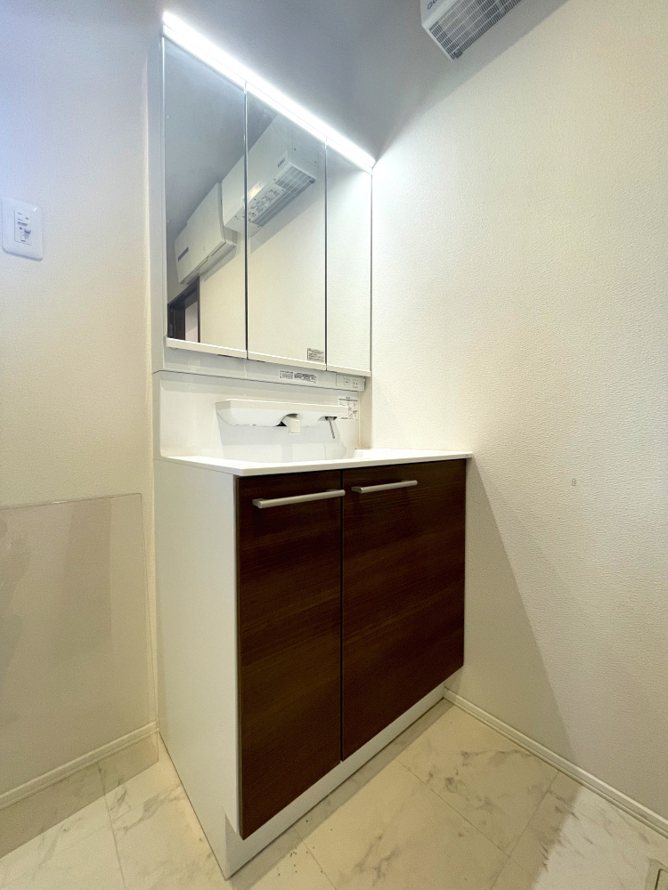 国分寺町柏原　戸建の独立洗面台