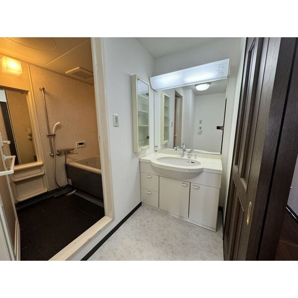 ライオンズマンション島田橋公園の洗面所