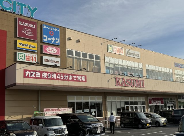 流山市前ヶ崎新築戸建（前ヶ崎7期）の周辺|カスミまで600ｍ