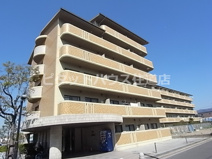 フレアコートコスモの画像