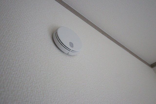 《仲介手数料無料》浦和区瀬ヶ崎５丁目33-13(全1戸)新築一戸建てハートフルタウンのその他|撮影日 2024年12月27日 13:15 晴れ