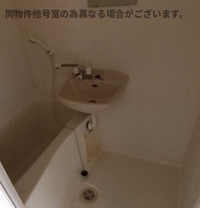 メゾン庄名Ⅱの洗面所