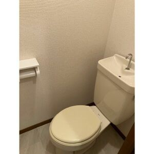 Ⅼアーバン２１のトイレ