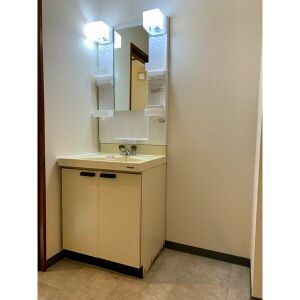 第3カーサ円正の洗面所