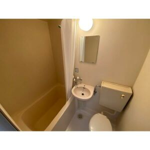 メゾンド・マリオの浴室