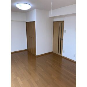 プリミエール八田IIの内装