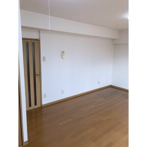 プリミエール八田IIの内装