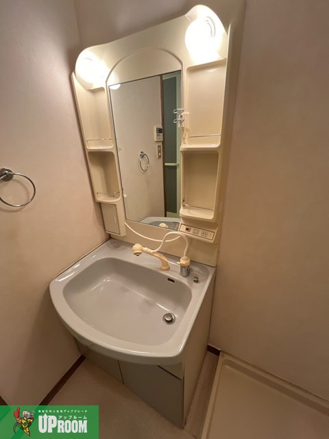 ルミエール松河戸の洗面所