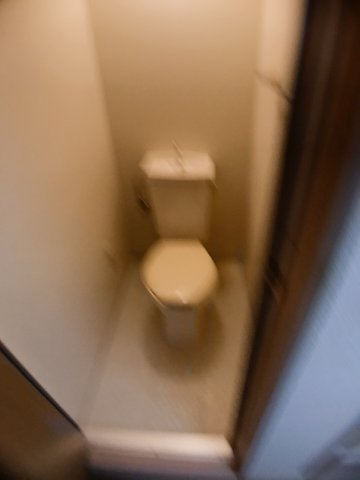 グレイスコートのトイレ