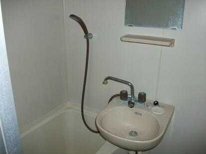 パラシオン・コンゴーの浴室