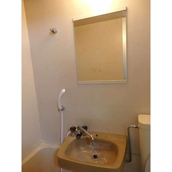 ワコー瑞穂の洗面所