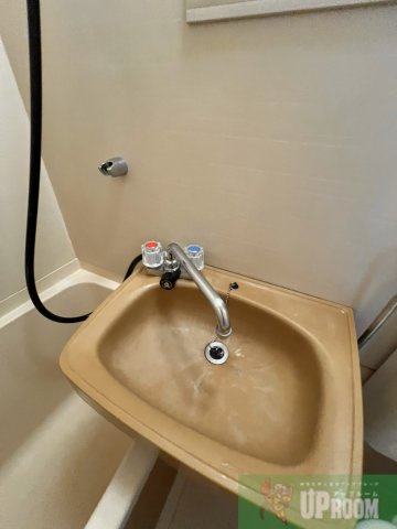ワコー瑞穂の洗面所