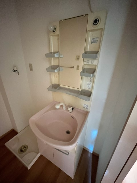 プレミール千代田の洗面所