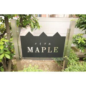 MAPLE Aのその他