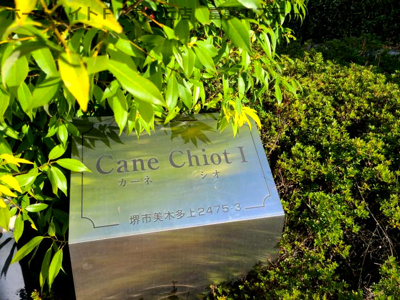 【エントランス】 | カーネシオⅠ