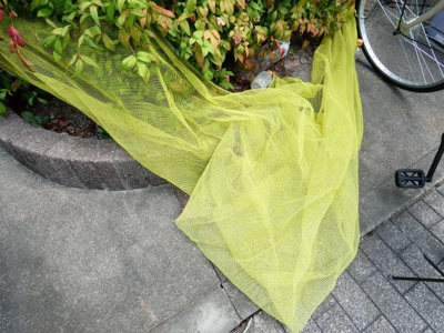 【その他共用部分】 | アルテーシア