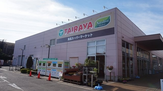 シュテルンのその他|その他