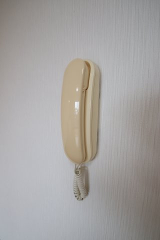 【セキュリティ】 | ビューテラスさやま | インターホン