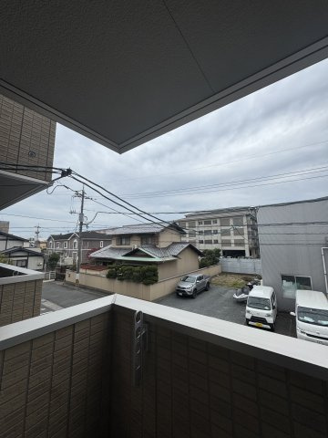 【展望】パームツリーＢ 