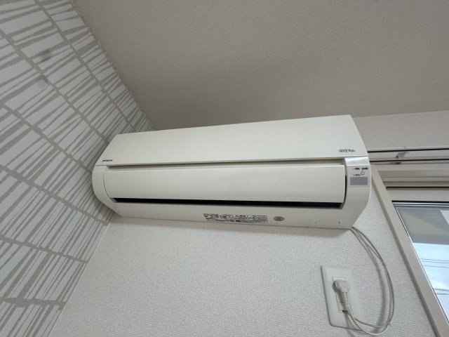 【設備】パームツリーＢ 