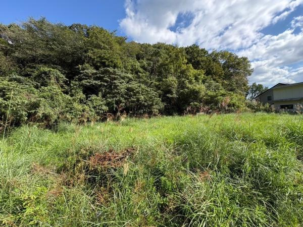 岩出市紀泉台　土地のその他