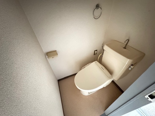 ボイスデムドンのトイレ