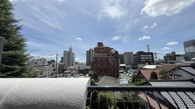 グランカーサ清蘭の展望