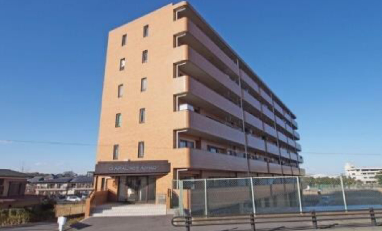 ダイアパレス我孫子の外観