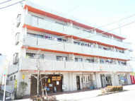 シャレムクレインの画像