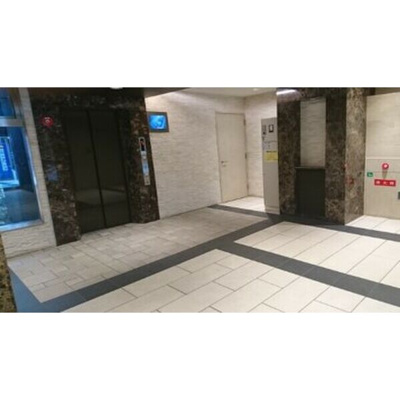 【エントランス】 | ジュネーゼグラン難波ミラージュ | エントランスです