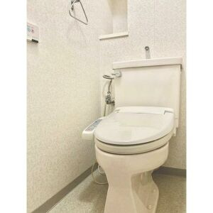 桃花台パークヒルズ五番館のトイレ