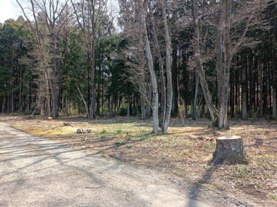  | 大田原市市野沢　350万円　土地
