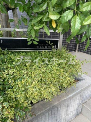 【庭】 | 仲介手数料０円！HPに初期費用掲載「プライスホーム」で検索！プランドール綾