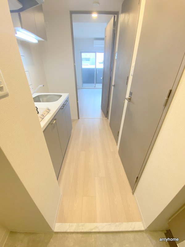 エスリードレジデンス梅田デュオ 仲介手数料無料の内装