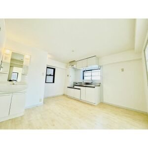 クイーンズタウン愛豊の居間・リビング