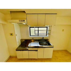 クイーンズタウン愛豊のキッチン