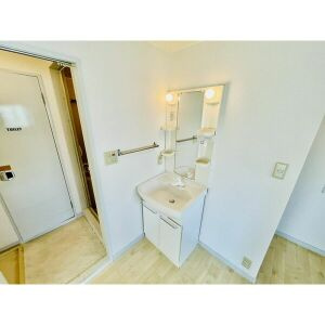 クイーンズタウン愛豊の洗面所