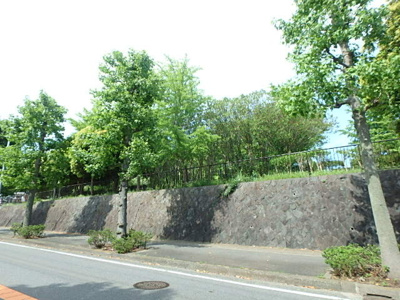 本郷台中央公園まで290m