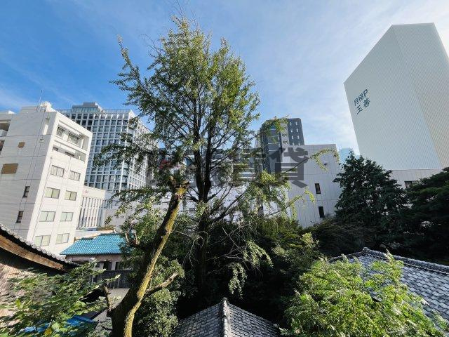 仲介手数料0円！ライオンズマンション丸の内第5の展望