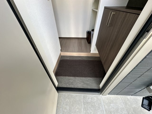 タウンさらⅡの玄関