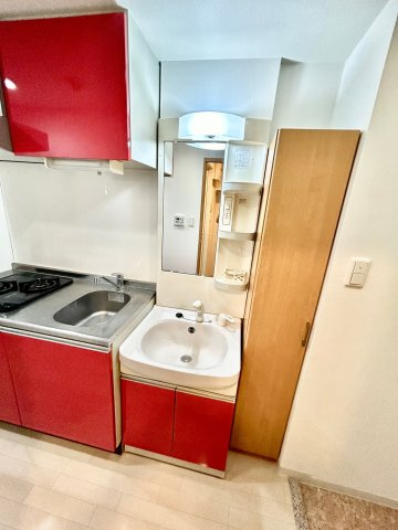 Luxe広芝の独立洗面台