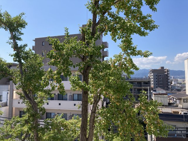 ファミール中野1の展望